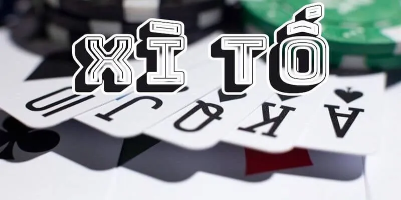 Xì Tố Là Gì? Cách Chơi Xì Tố Cực Hay Cho Tân Thủ Typhu88 Giới Thiệu